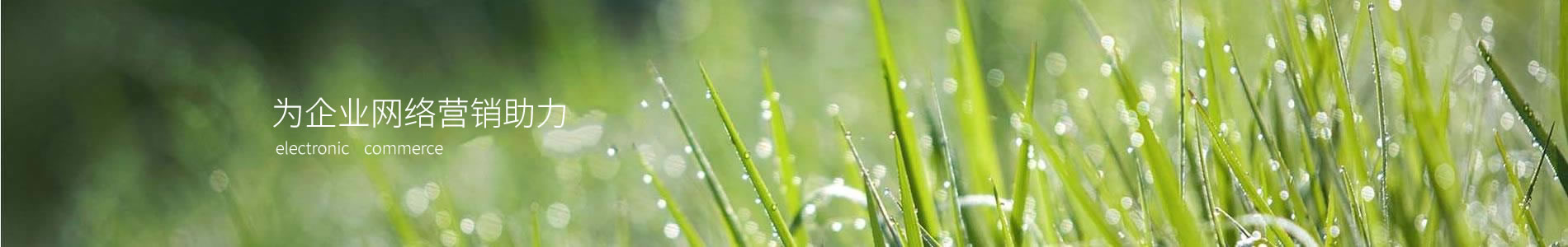 Ĵޱ޿Ƽ޹˾